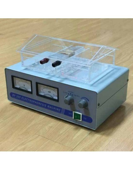 Electrophoresis Machine